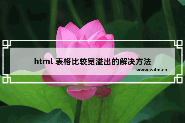 html 表格比较宽溢出的解决方法