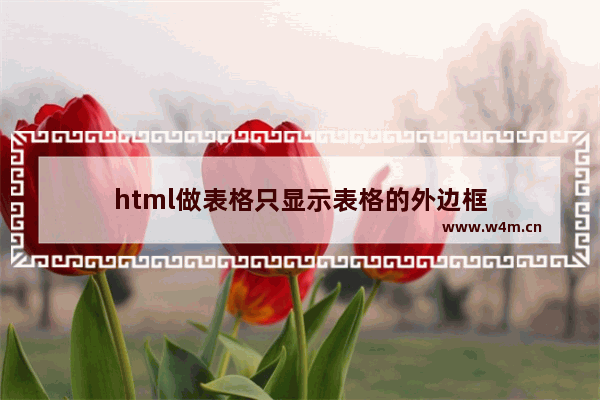 html做表格只显示表格的外边框