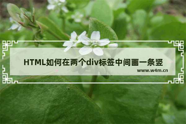 HTML如何在两个div标签中间画一条竖线