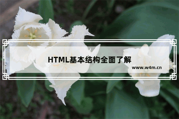 HTML基本结构全面了解