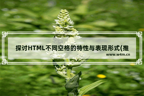 探讨HTML不同空格的特性与表现形式(推荐)