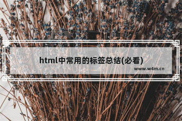 html中常用的标签总结(必看)