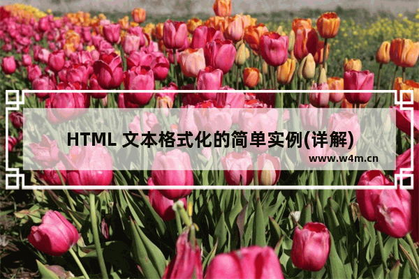 HTML 文本格式化的简单实例(详解)