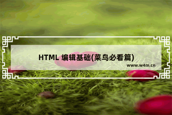 HTML 编辑基础(菜鸟必看篇)