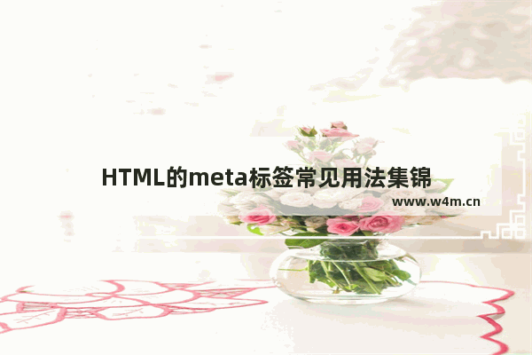 HTML的meta标签常见用法集锦