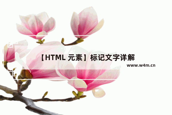 【HTML 元素】标记文字详解