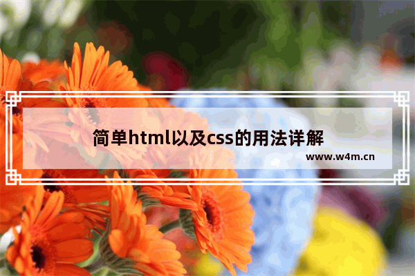 简单html以及css的用法详解