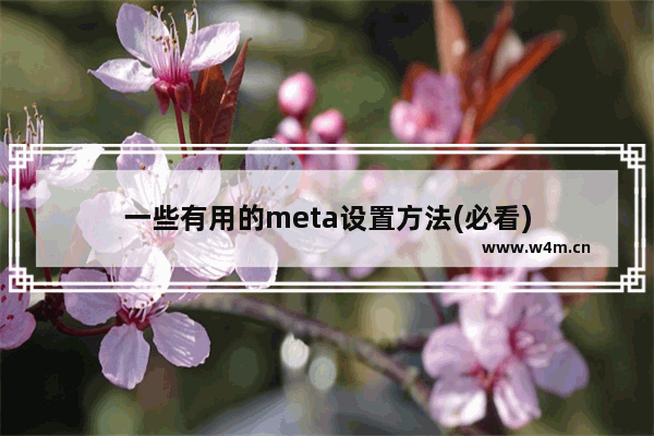 一些有用的meta设置方法(必看)