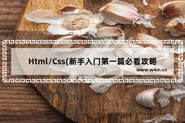 Html/Css(新手入门第一篇必看攻略)