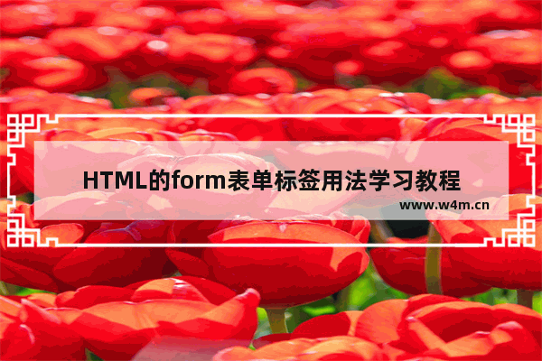 HTML的form表单标签用法学习教程