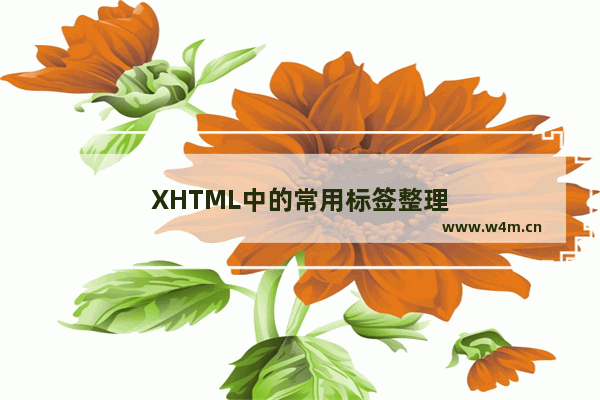 XHTML中的常用标签整理