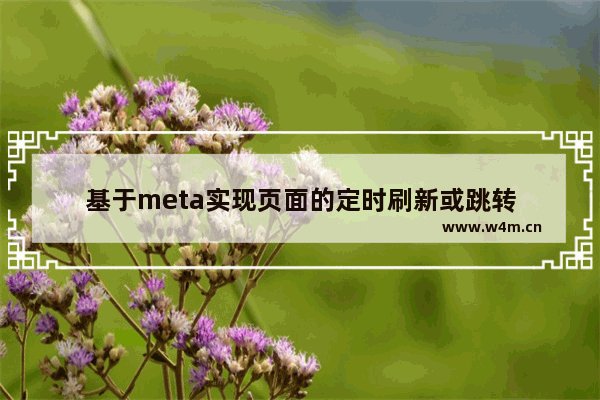 基于meta实现页面的定时刷新或跳转