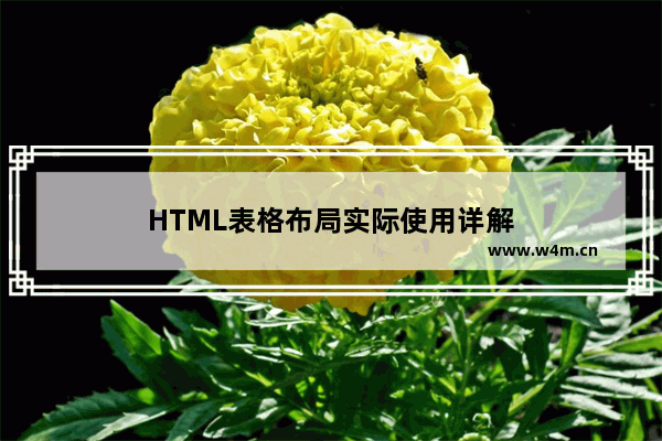 HTML表格布局实际使用详解