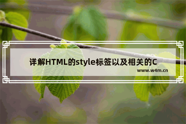 详解HTML的style标签以及相关的CSS引用