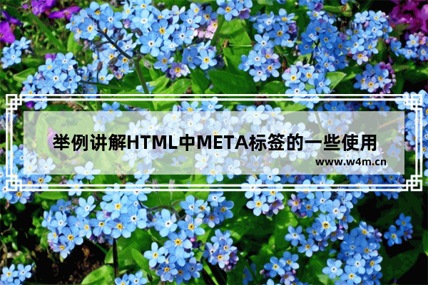 举例讲解HTML中META标签的一些使用技巧