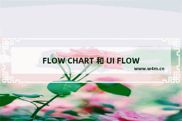 FLOW CHART 和 UI FLOW 的差别