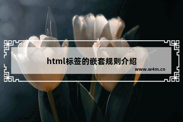 html标签的嵌套规则介绍