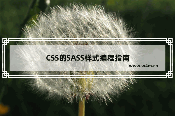 CSS的SASS样式编程指南