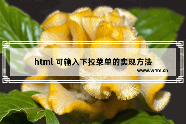 html 可输入下拉菜单的实现方法