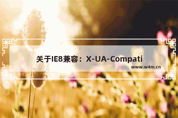 关于IE8兼容：X-UA-Compatible属性的解释