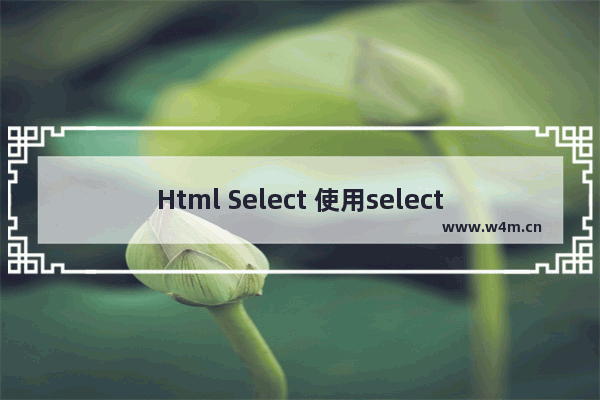 Html Select 使用selected属性设置默认选择项