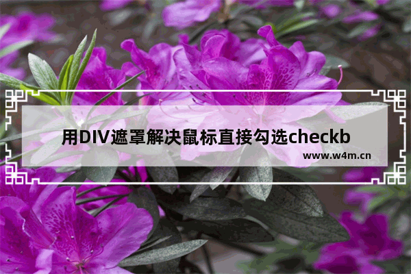 用DIV遮罩解决鼠标直接勾选checkbox无效的问题