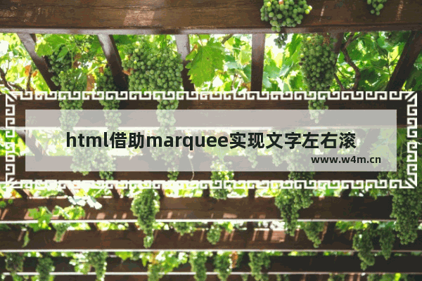 html借助marquee实现文字左右滚动