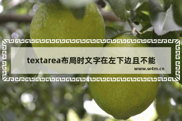 textarea布局时文字在左下边且不能改变大小尺寸的解决方法