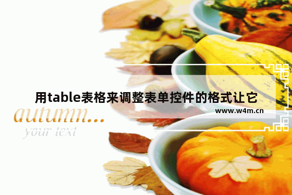 用table表格来调整表单控件的格式让它好看一些