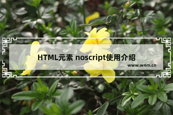 HTML元素 noscript使用介绍