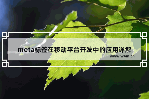 meta标签在移动平台开发中的应用详解