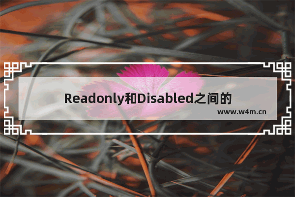 Readonly和Disabled之间的微小区别详解