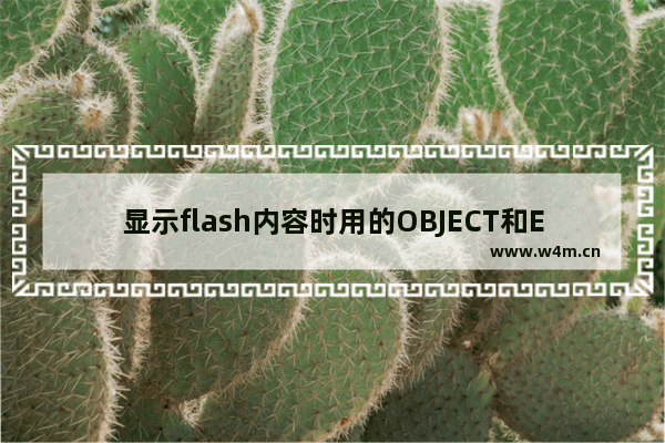 显示flash内容时用的OBJECT和EMBED标签区别介绍