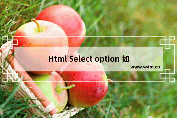 Html Select option 如何进行默认选择