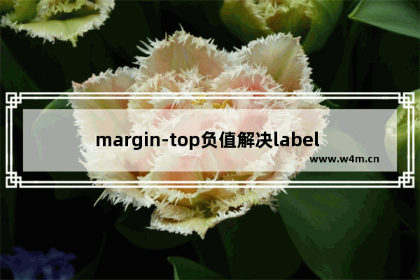 margin-top负值解决label 文字与input 垂直居中对齐问题