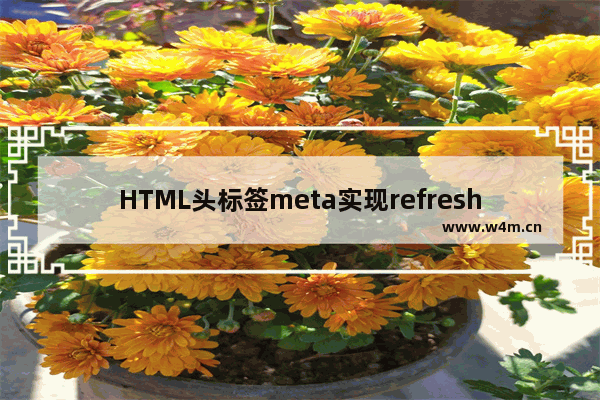 HTML头标签meta实现refresh重新定向