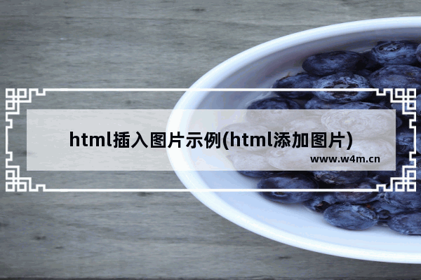 html插入图片示例(html添加图片)