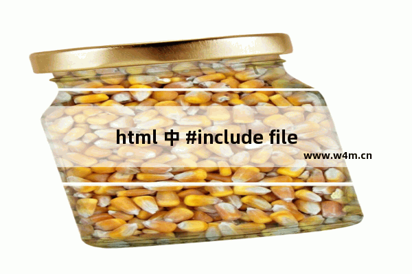 html 中 #include file 的用法示例介绍