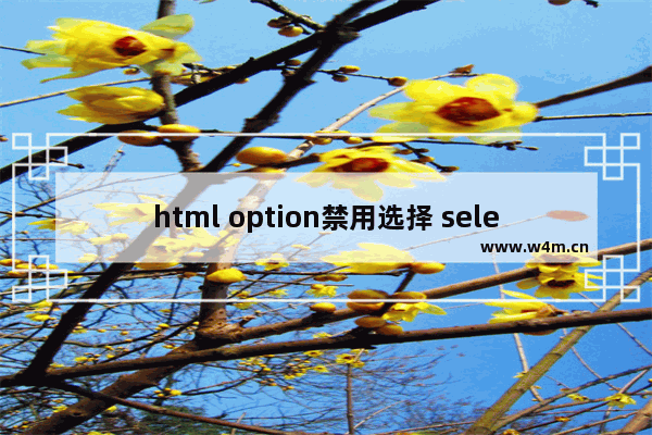 html option禁用选择 select禁用选项示例