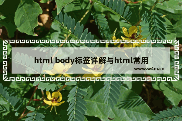 html body标签详解与html常用的控制标记