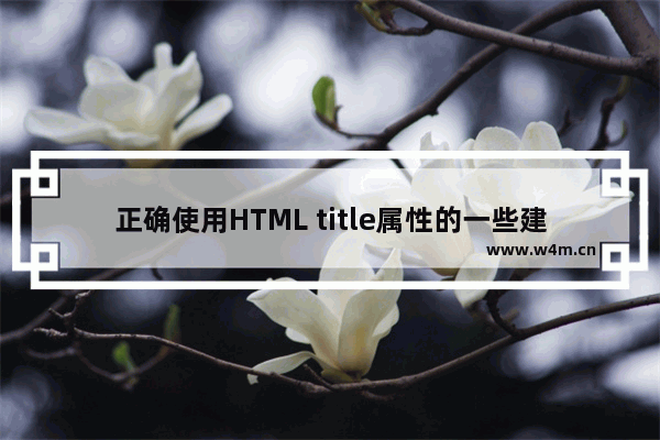 正确使用HTML title属性的一些建议