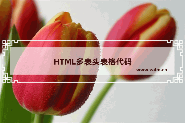 HTML多表头表格代码