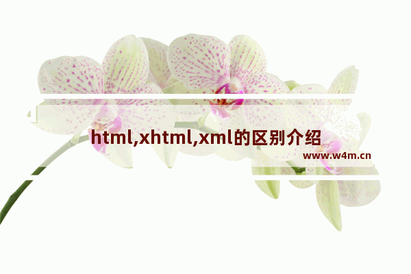 html,xhtml,xml的区别介绍