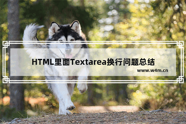 HTML里面Textarea换行问题总结