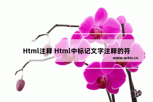 Html注释 Html中标记文字注释的符号