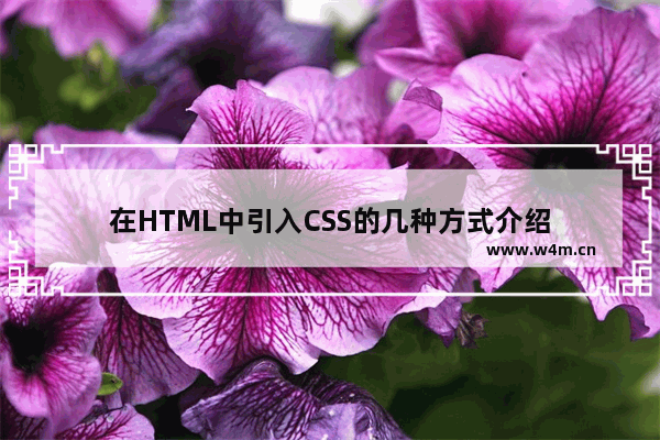 在HTML中引入CSS的几种方式介绍