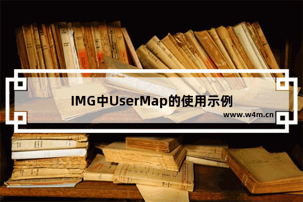 IMG中UserMap的使用示例