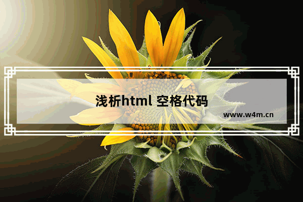 浅析html 空格代码