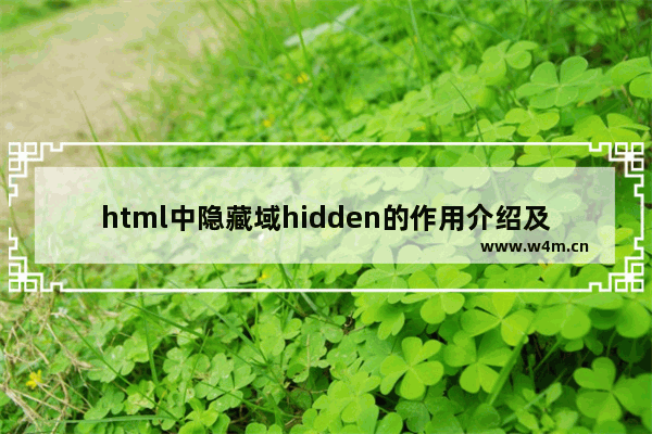 html中隐藏域hidden的作用介绍及使用示例