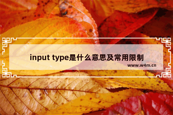 input type是什么意思及常用限制input的方法